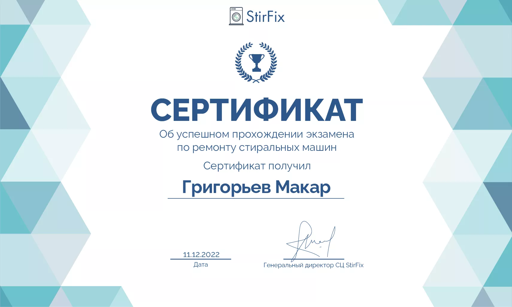 Григорьев Макар сертификат мастера по ремонту стиральных машин